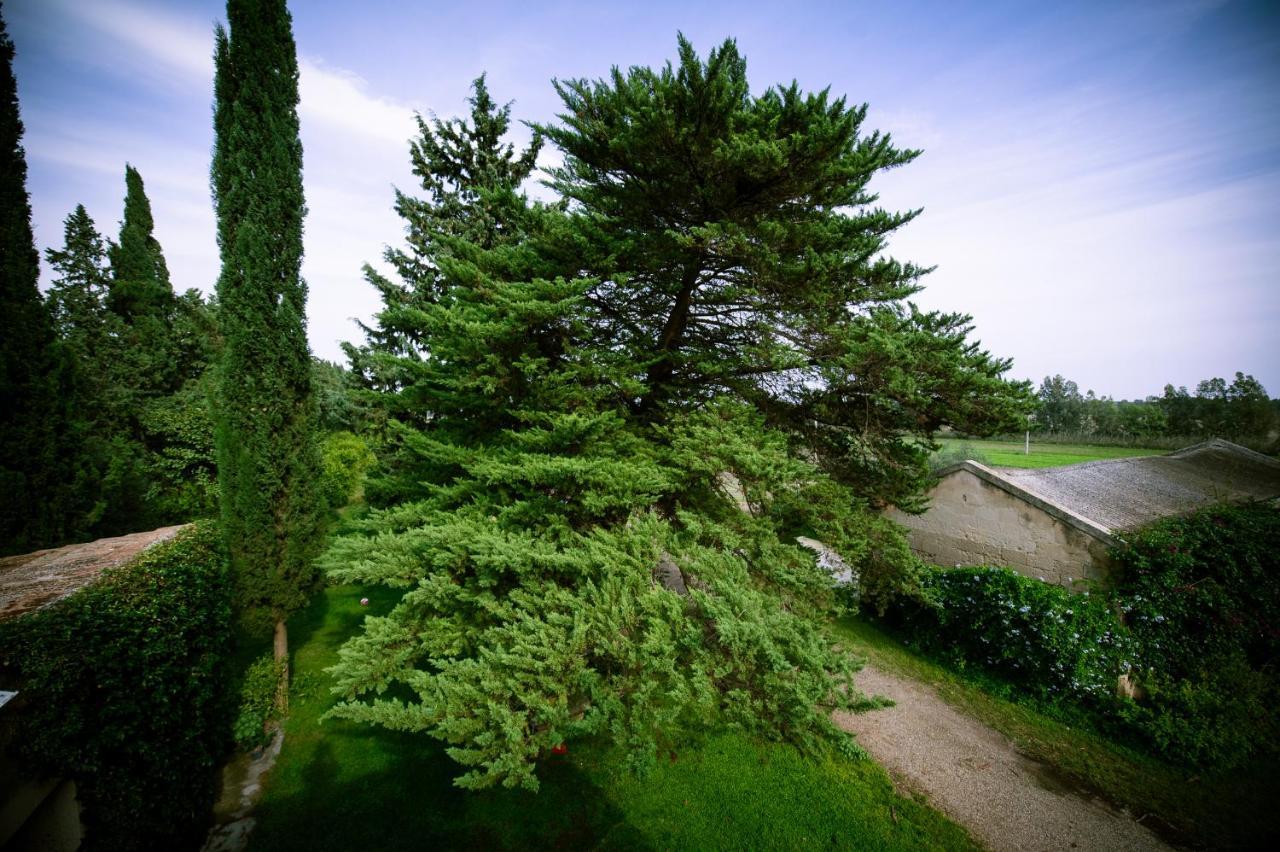 Masseria Perronello Country House Castellaneta Marina Eksteriør bilde